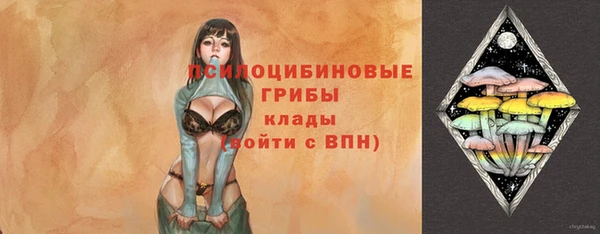 a pvp Абаза