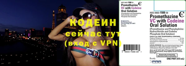 прущие грибы Нязепетровск