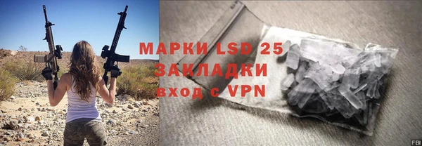 прущие грибы Нязепетровск