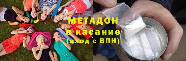 прущие грибы Нязепетровск