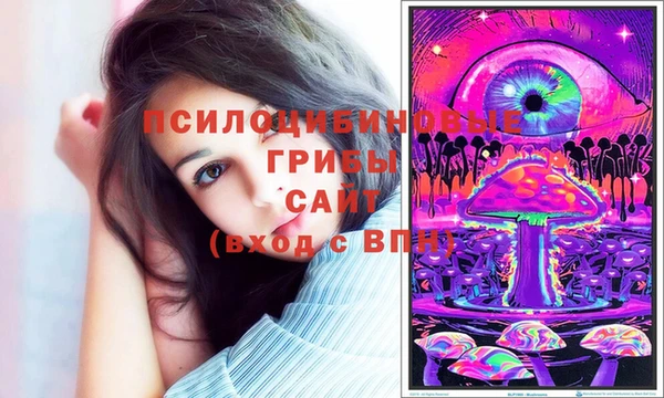 Альфа ПВП Бежецк