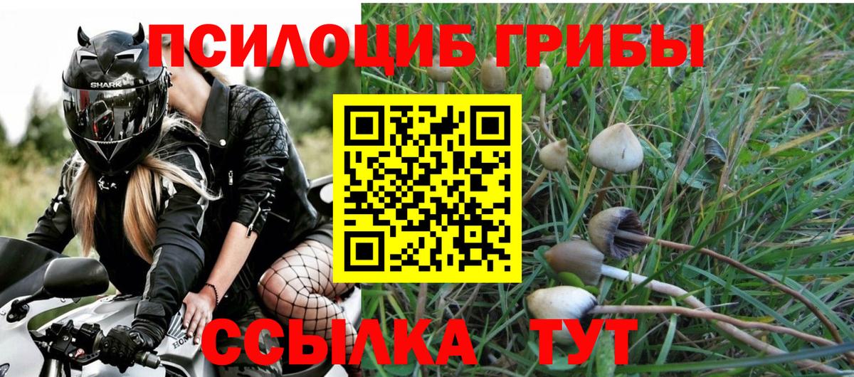 Галлюциногенные грибы Psilocybe  Вход с VPN  Екатеринбург 